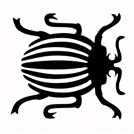 gsb17-16300_beetle