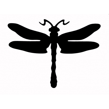 gsb17-16500_dragonfly