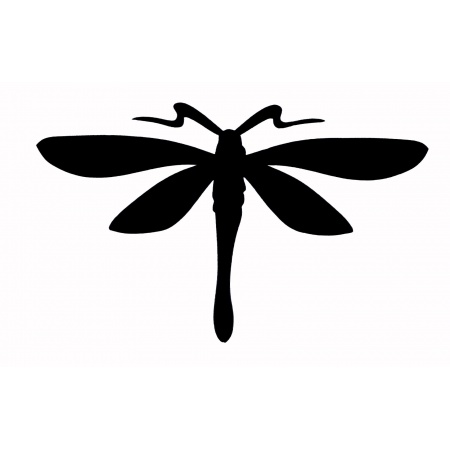 gsb17-16700_dragonfly_small
