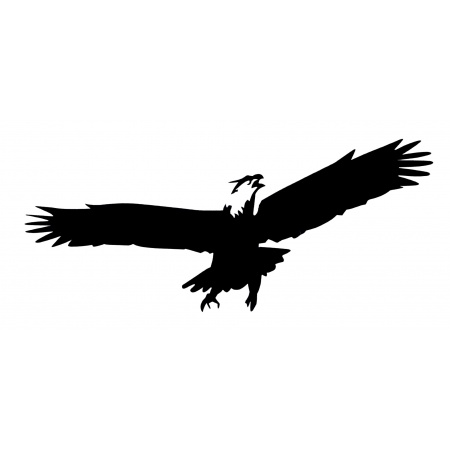 gsb17-20400_flying_eagle