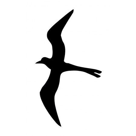 gsb17-20500_flying_seagull