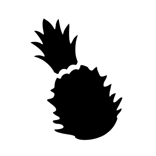 gsb17-58702_pineapple